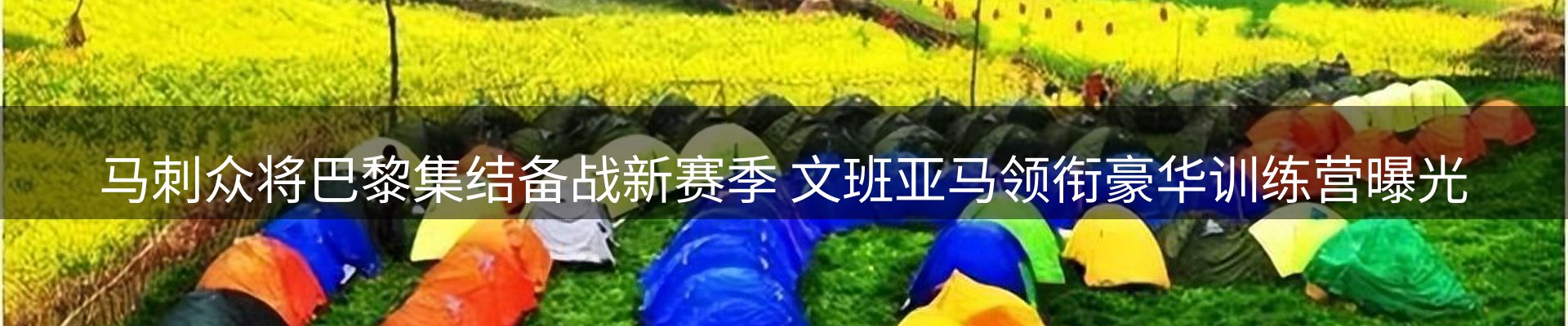 网站资讯