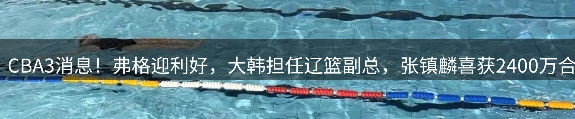 网站资讯