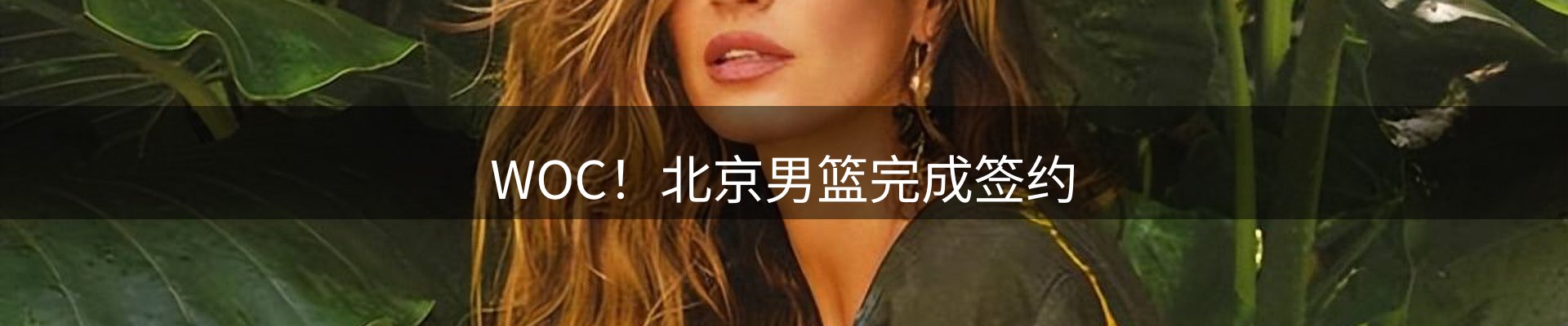 网站资讯